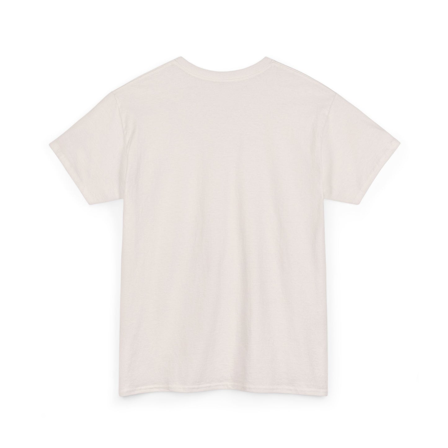 Roanoke Rapids Say it Correctly | Gildan Unisex Heavy Cotton Tee