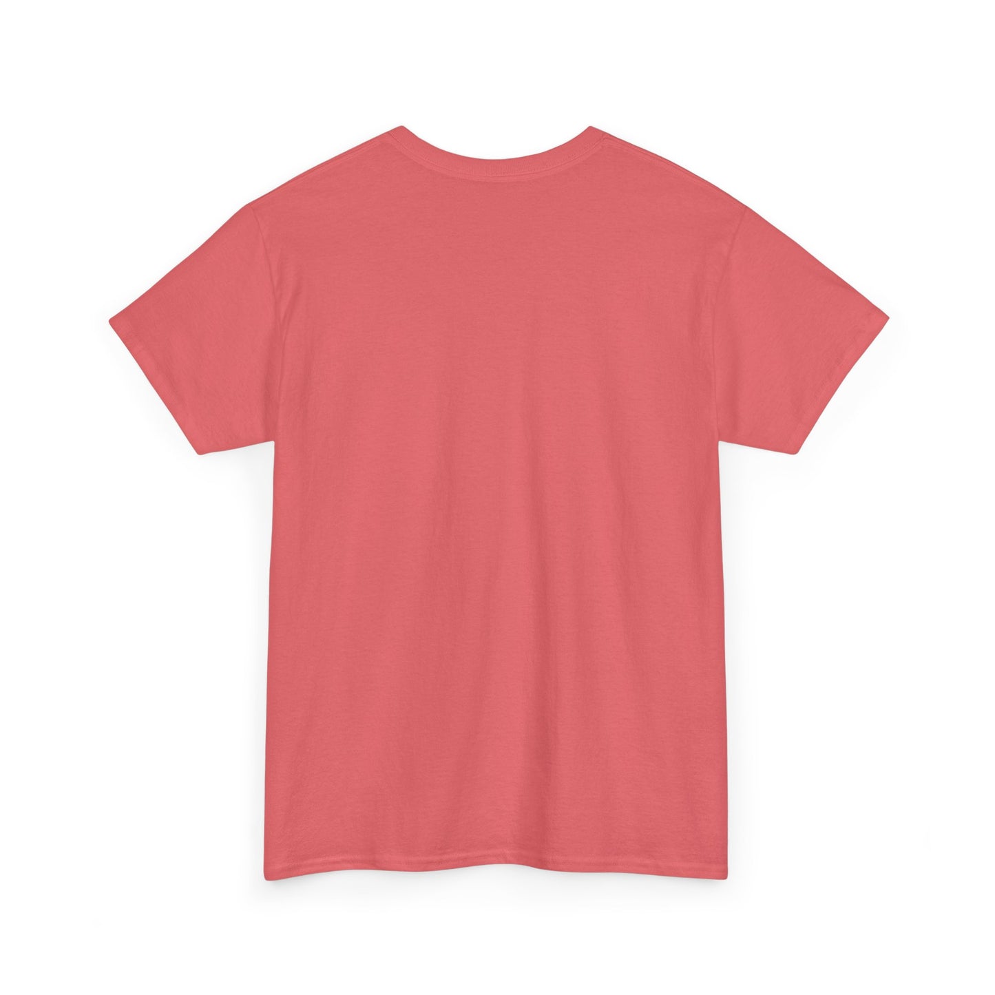 Roanoke Rapids Say it Correctly | Gildan Unisex Heavy Cotton Tee