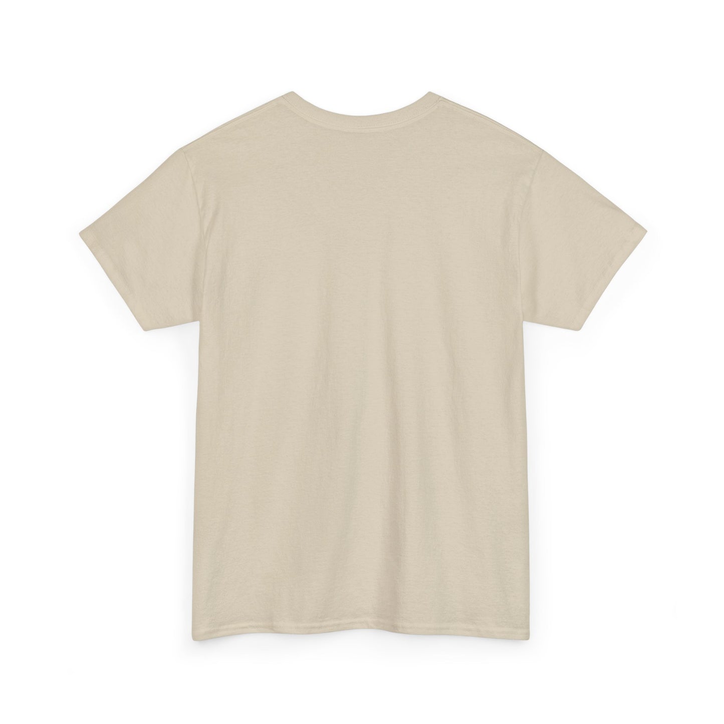 Roanoke Rapids Say it Correctly | Gildan Unisex Heavy Cotton Tee